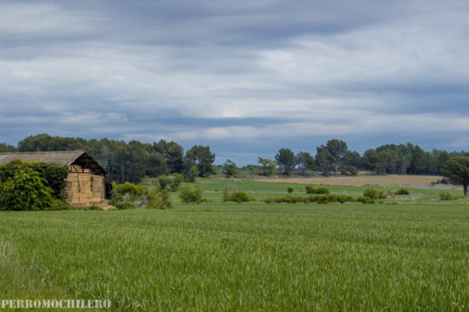sur-francia