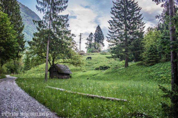 cabaña-koritnica