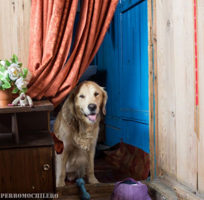 house-boat-srinagar-1