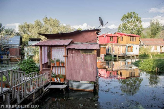 house-boat-srinagar-6