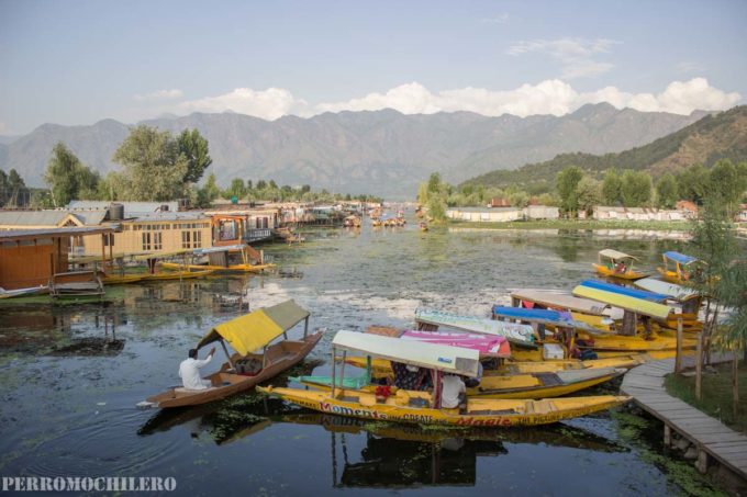 house-boat-srinagar-8