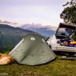 acampar con perros