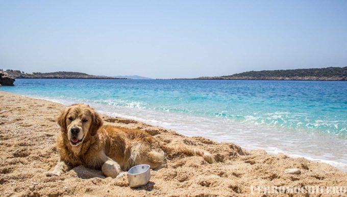 Meko Perromochilero Playa Kaputas Turquia