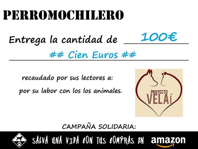 cheque del donativo al proyecto velai