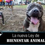 portada ley ppp