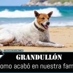grandullon perromochilero