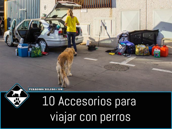 accesorios viajar con perro